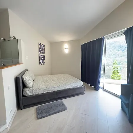Just Next To Monaco Jacuzzi 罗克布吕讷-卡普马丹